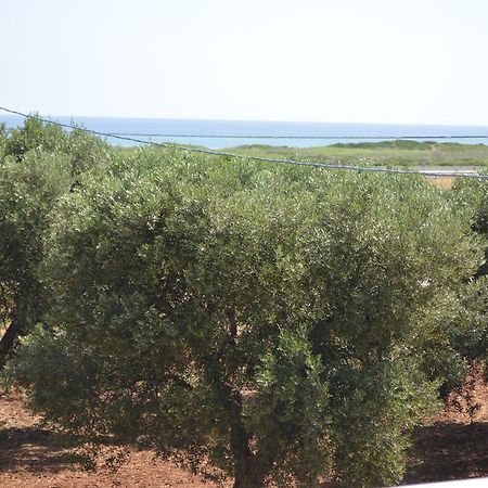 Le Terrazze Miramare B&B Torre Canne Buitenkant foto